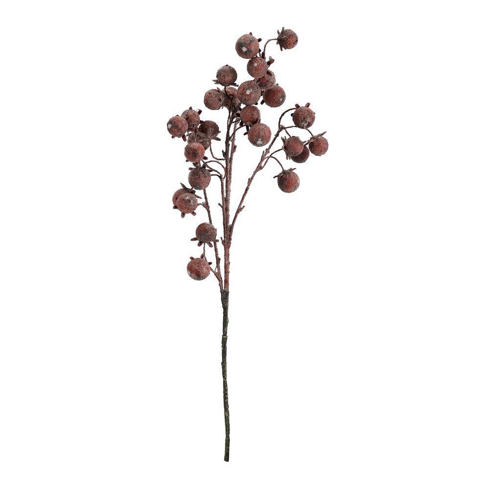 Ramo Darby C-Bacche Arancione H90Cm