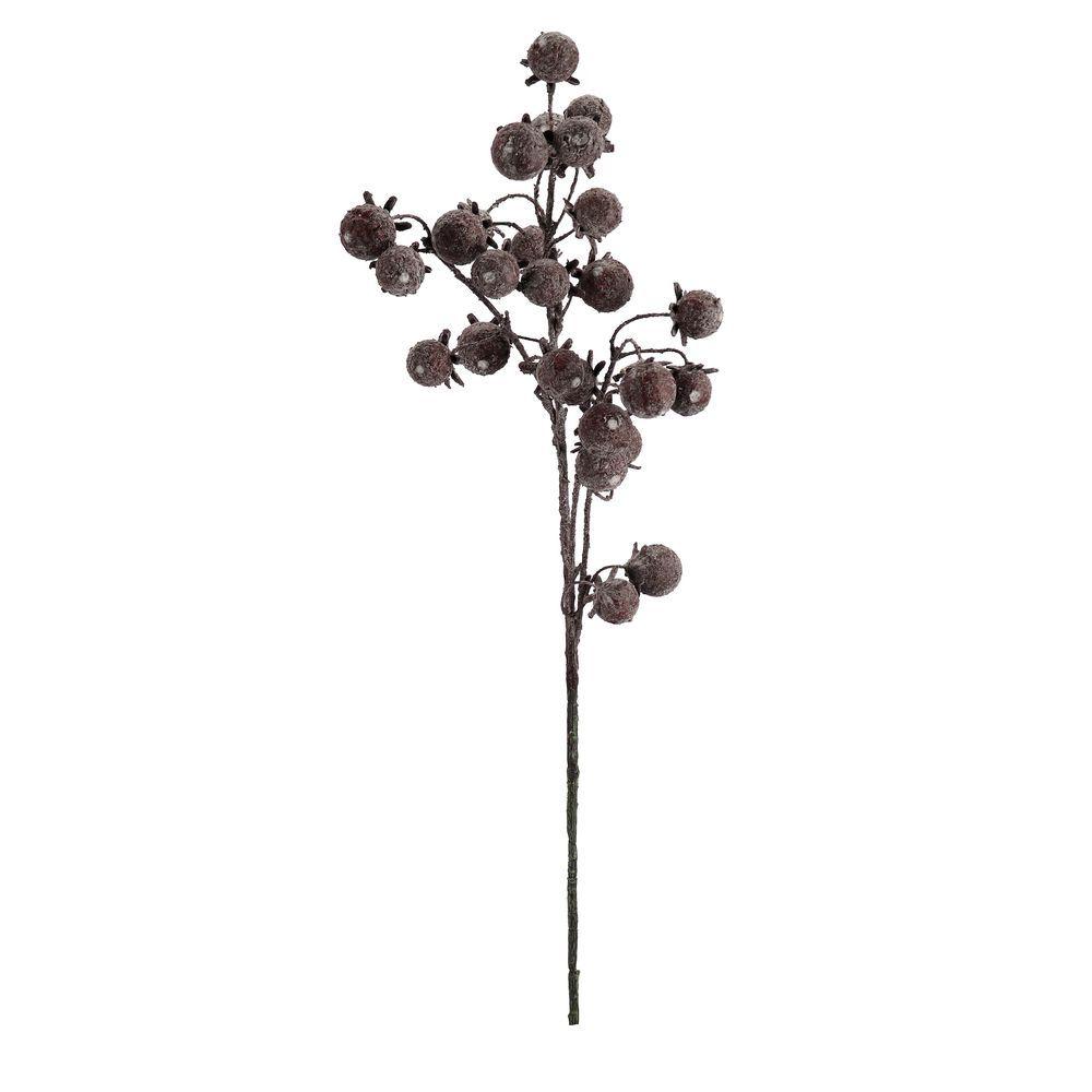 Ramo Darby C-Bacche Marrone Sc H90Cm