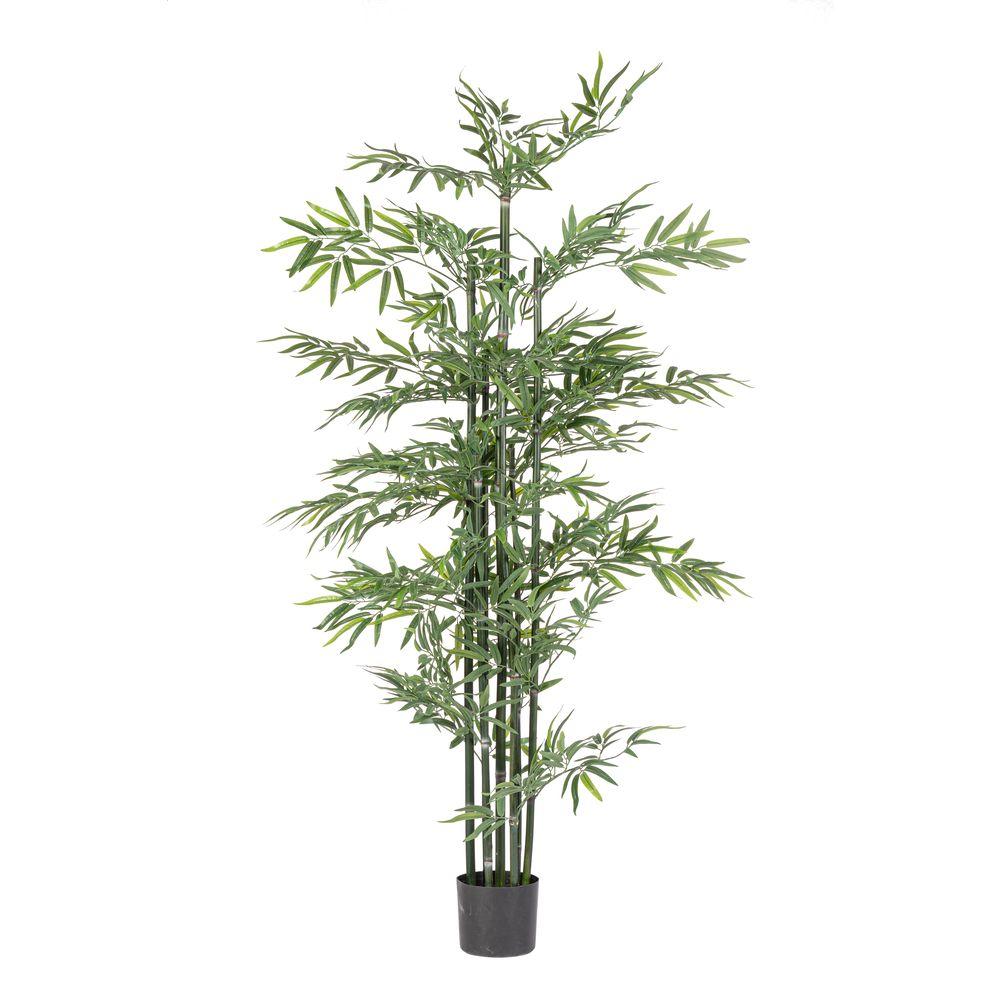 Pianta Bamboo C-Vaso H190