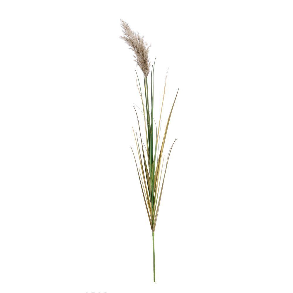 Ramo Gynerium Pampas H140