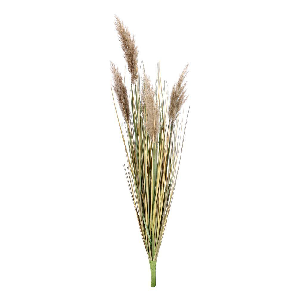 Ramo Gynerium Pampas H100