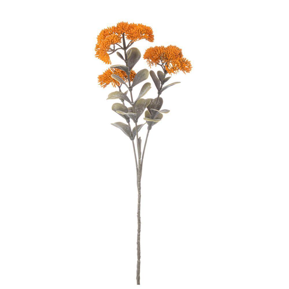 Sedum Loryn X3F Arancione H56Cm
