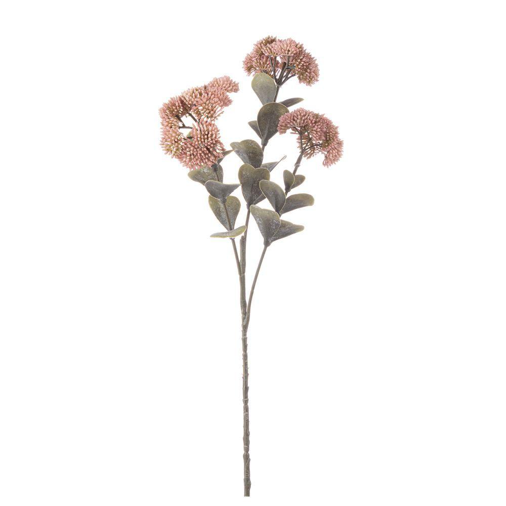 Sedum Loryn X3F Rosa H56Cm