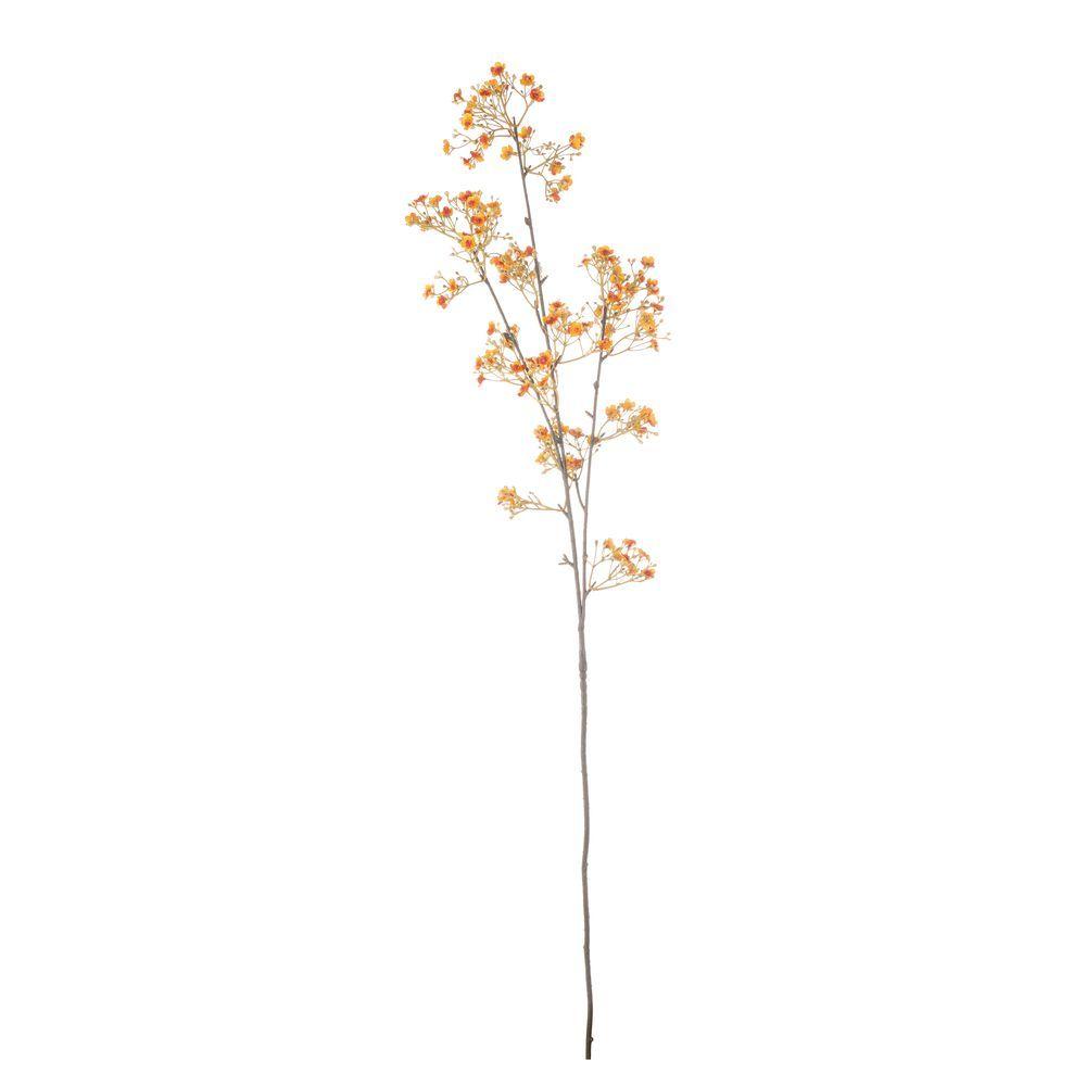 Gypsophila Loryn X3R Arancione H106Cm - Arancione - Fiori | Mikasa