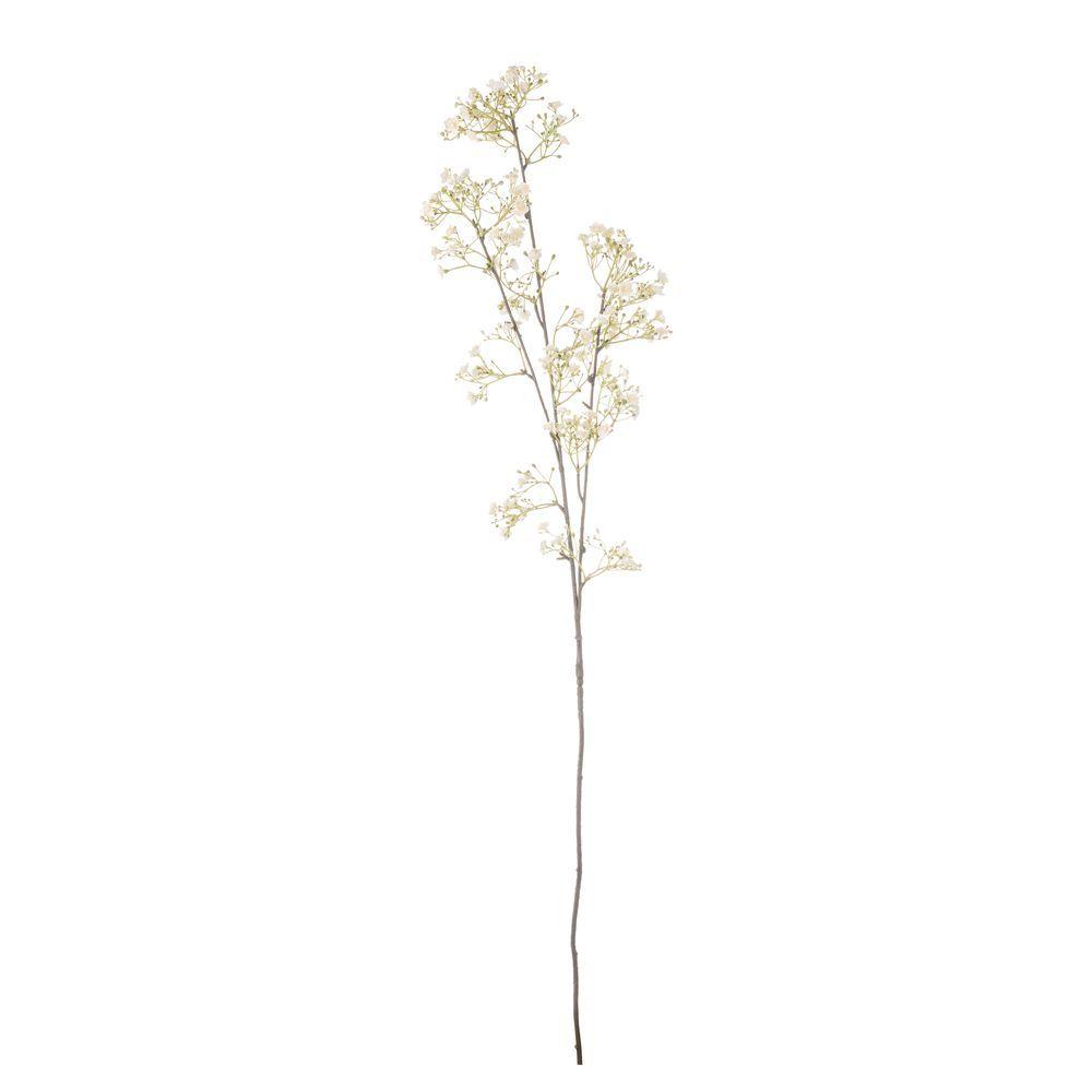 Gypsophila Loryn X3R Bianco H106Cm