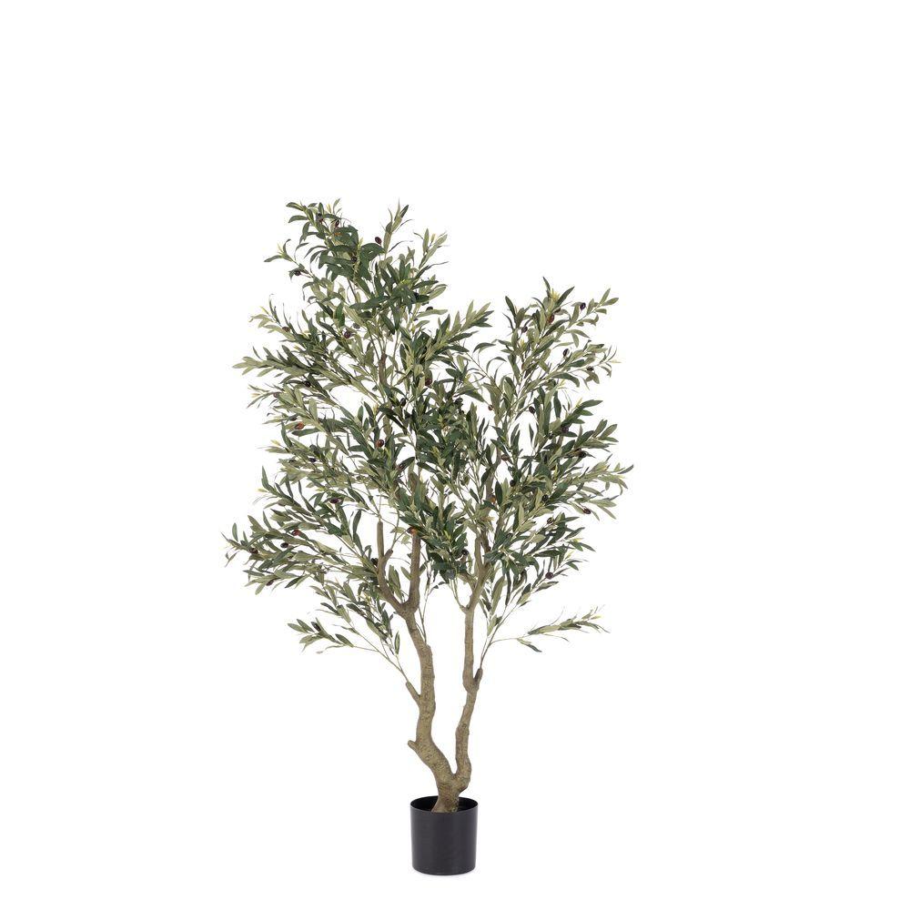Pianta Ulivo C-Vaso H180