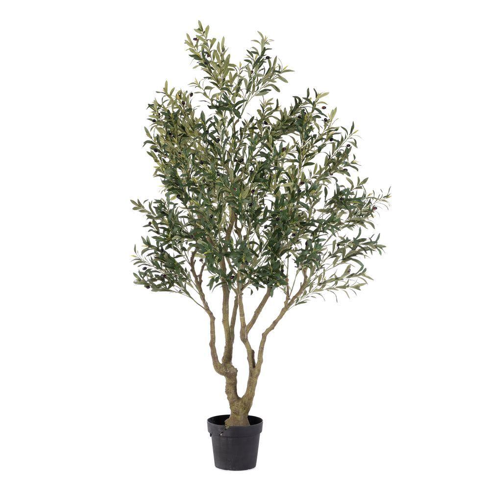 Pianta Ulivo C-Vaso H210