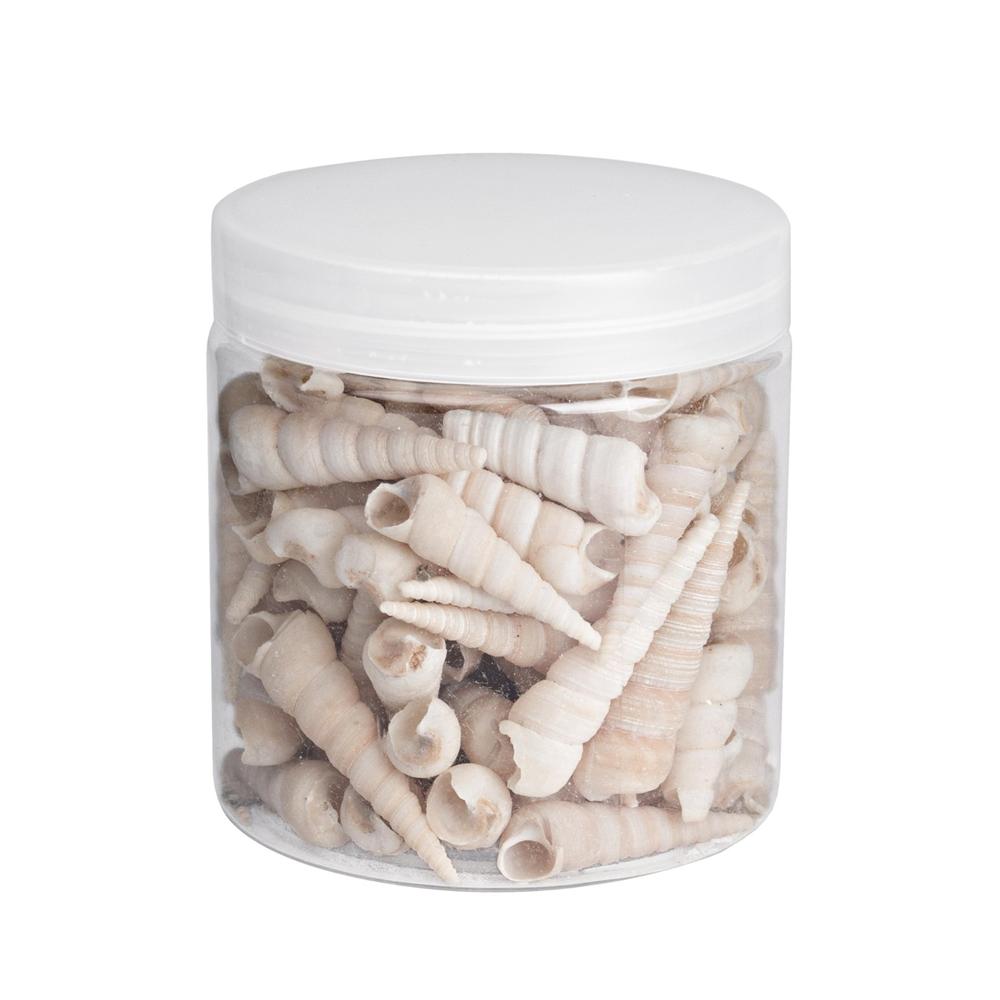 Conchiglia 121 Barattolo 450G - Barattoli & Biscottiere | Mikasa