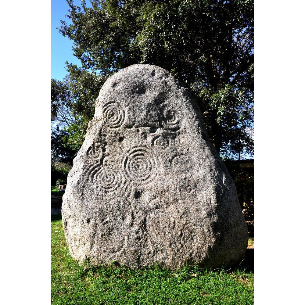 Bollilatte D12 Maori Fascia - Pentole | Mikasa