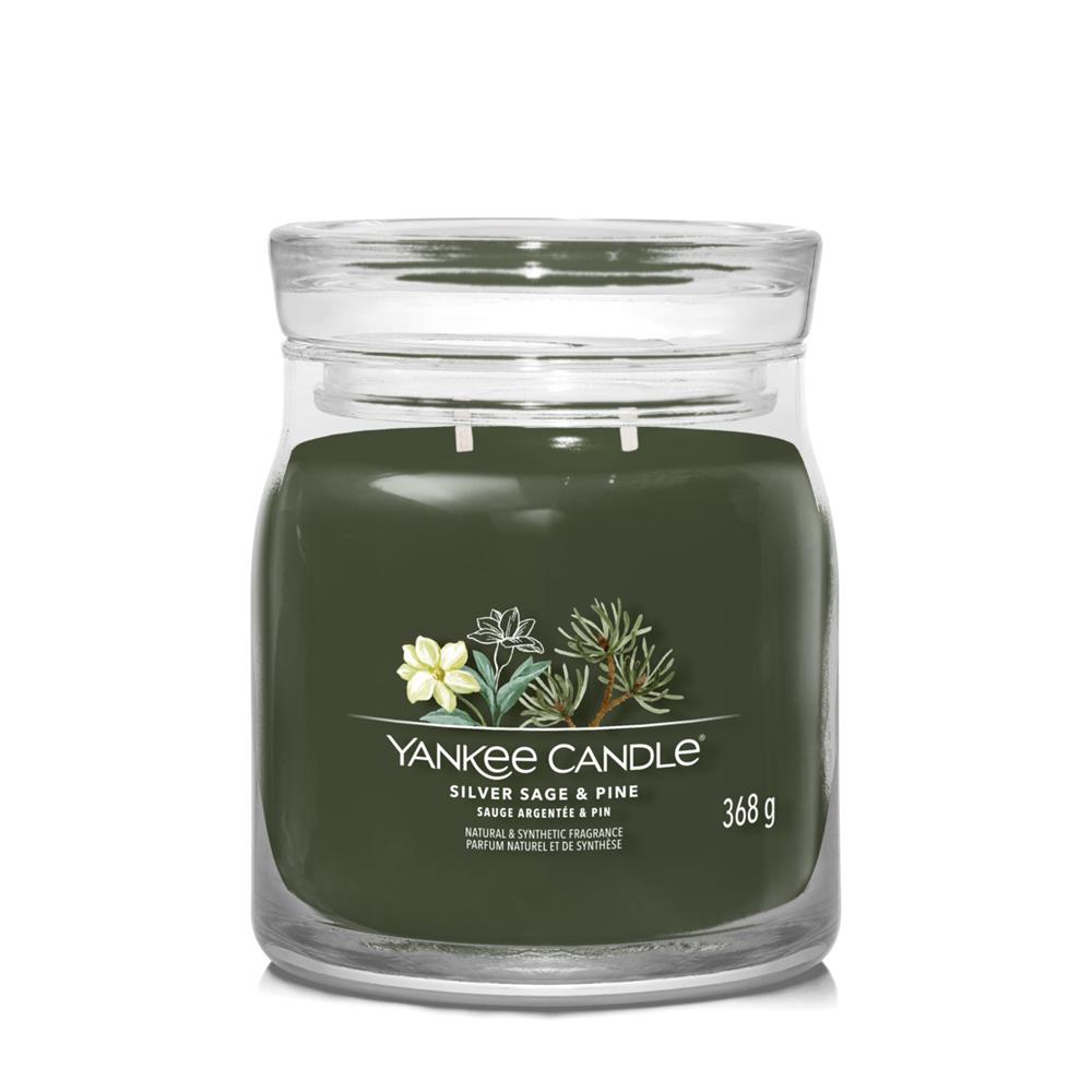 Silver Sage & Pine - Giara Media 2 Stoppini