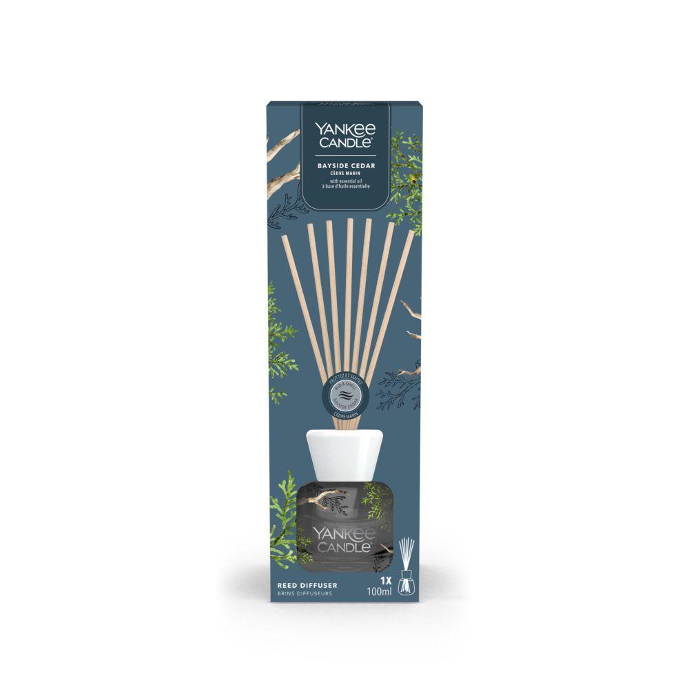 Bayside Cedar - Kit Iniziale - Bastoncini - Blu - Bastoncini | Mikasa