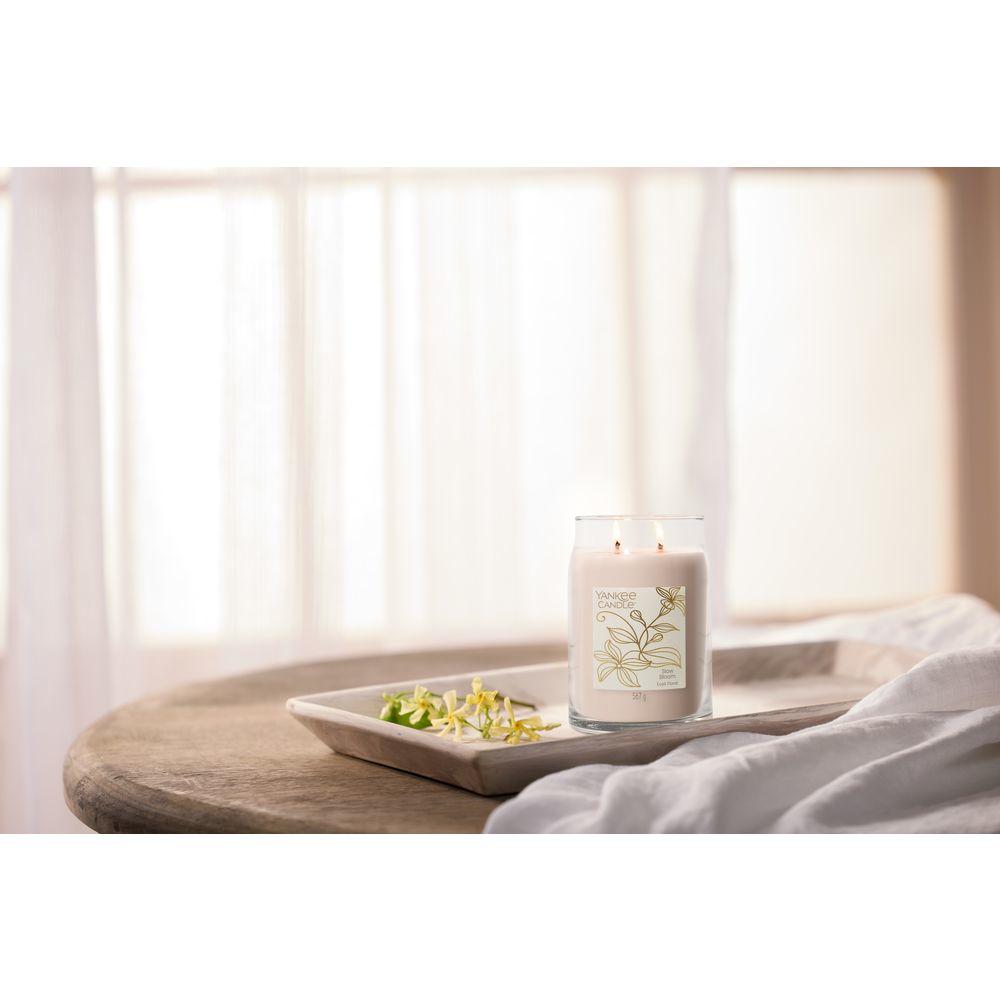 Slow Bloom - 1 Filled Votive - Filled Votive | Mikasa