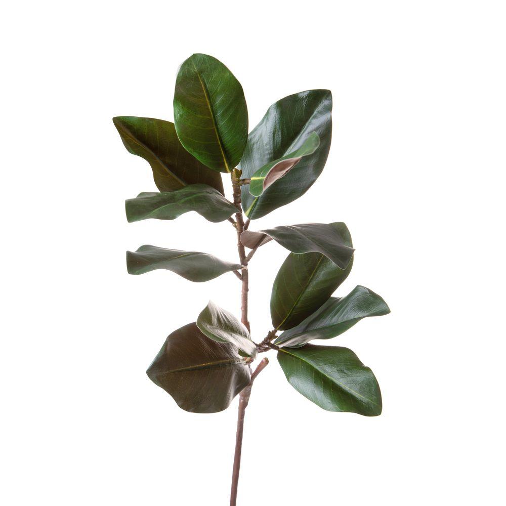 Magnolia Ramo 99 Cm