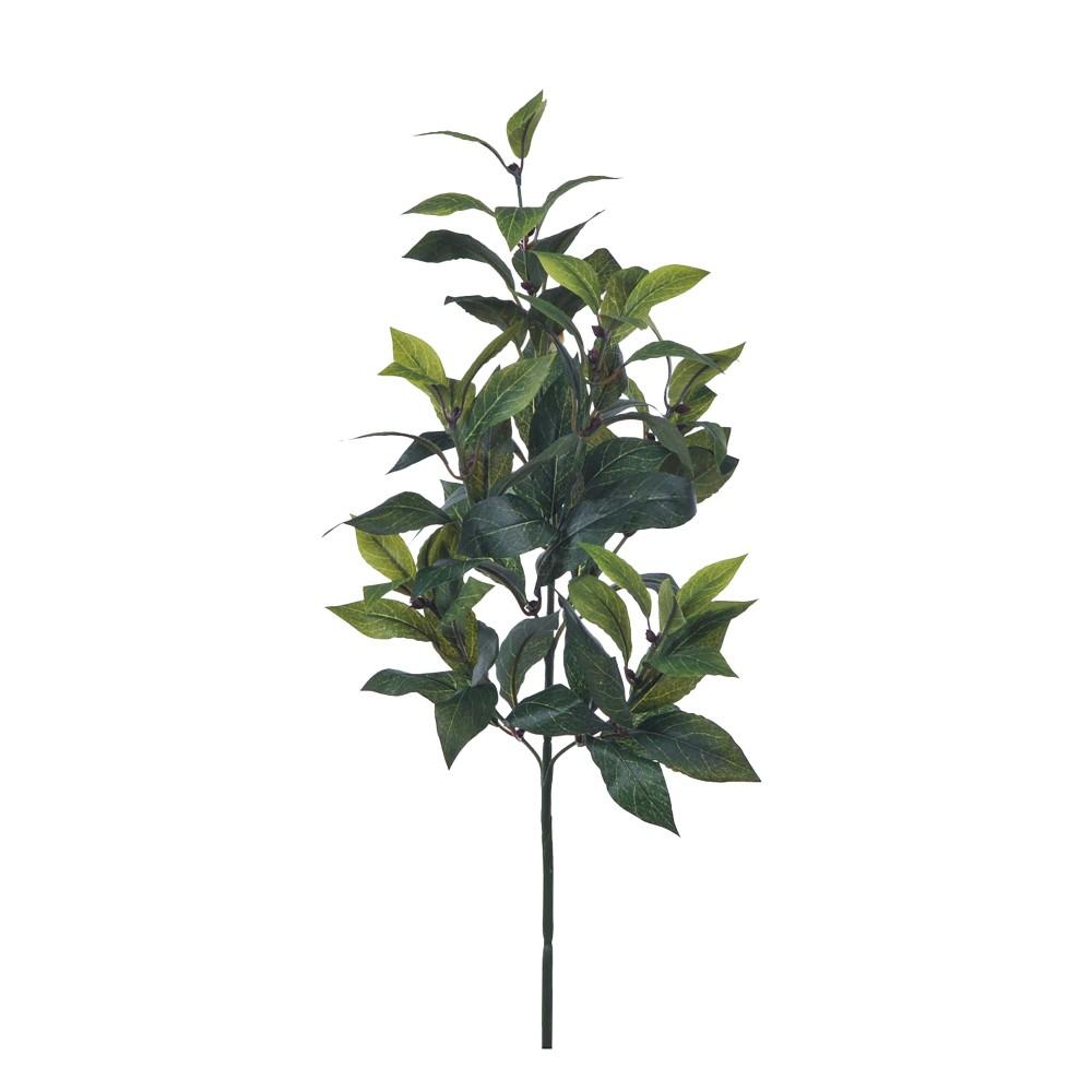 Alloro 73 Cm - Fiori | Mikasa