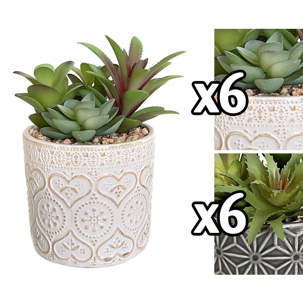 Bec 59951 Pianta Grassa Ceramic Pot 9,5*9,5*13,5Cm 2 Ass. - Assortito - Piante | Mikasa