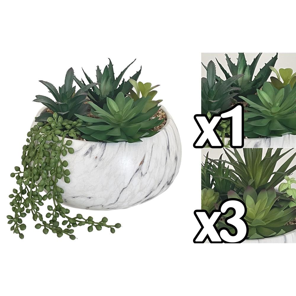 Bec 60046 Round Vase Composiz. Pianta Grassa 22*22*21Cm 2 Ass. - Vaso Ceramica Assortito - Piante | Mikasa