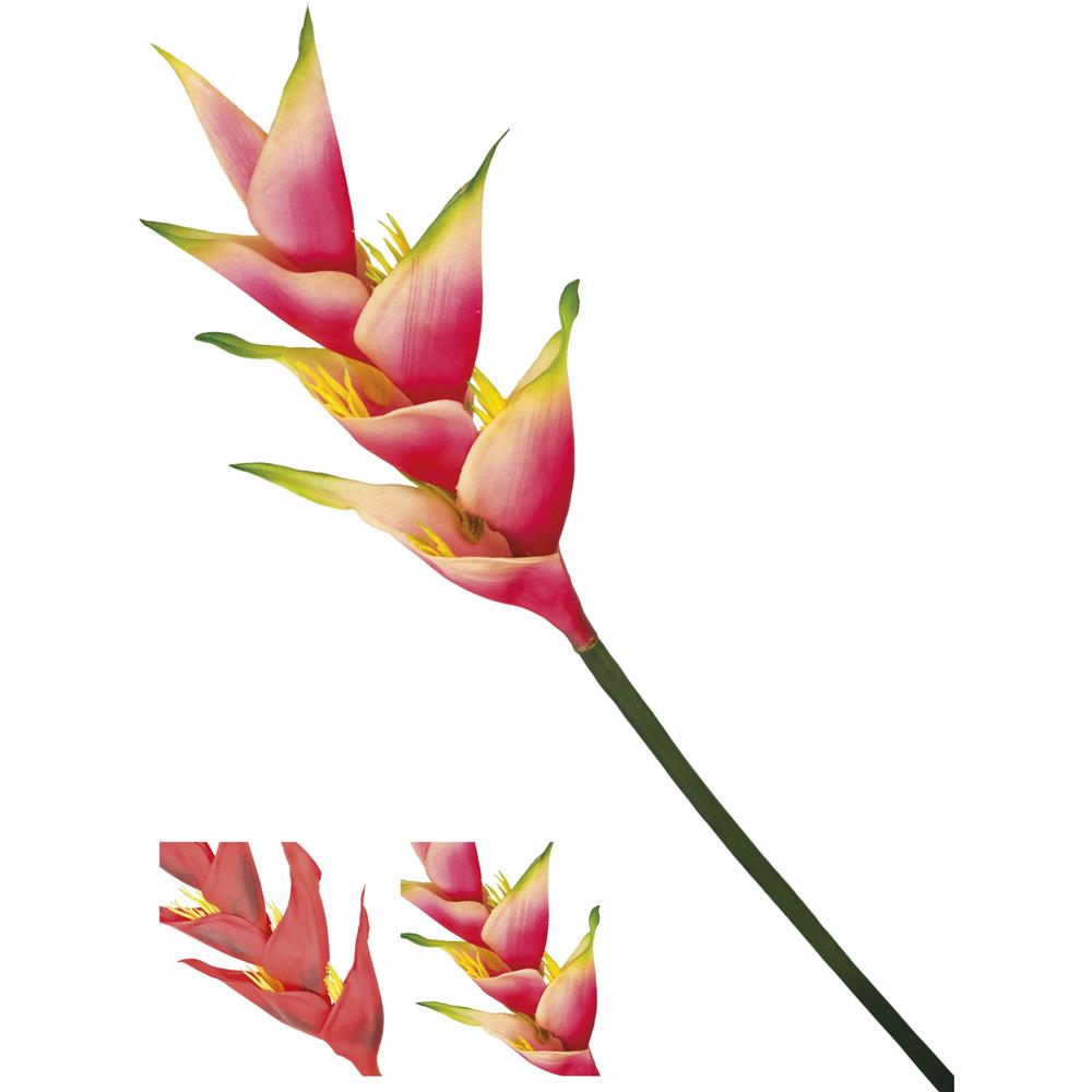 CHI 51691-51690 STELO HELICONIA 91CM 2ASS. KLAMORE - Fiori | Mikasa