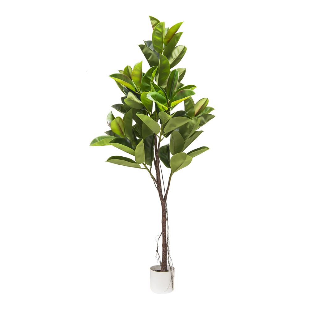 Chi 57976 Pianta Ficus Elastica Real Touch 80*70*175Cm - Vaso Plastica Verde - Piante | Mikasa