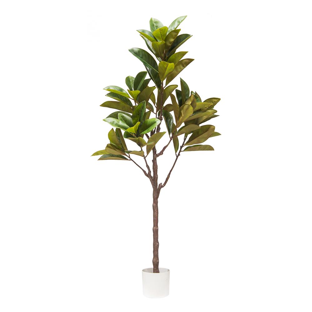 Chi 57977 Pianta Magnolia Real Touch H.160Cm - Verde - Piante | Mikasa