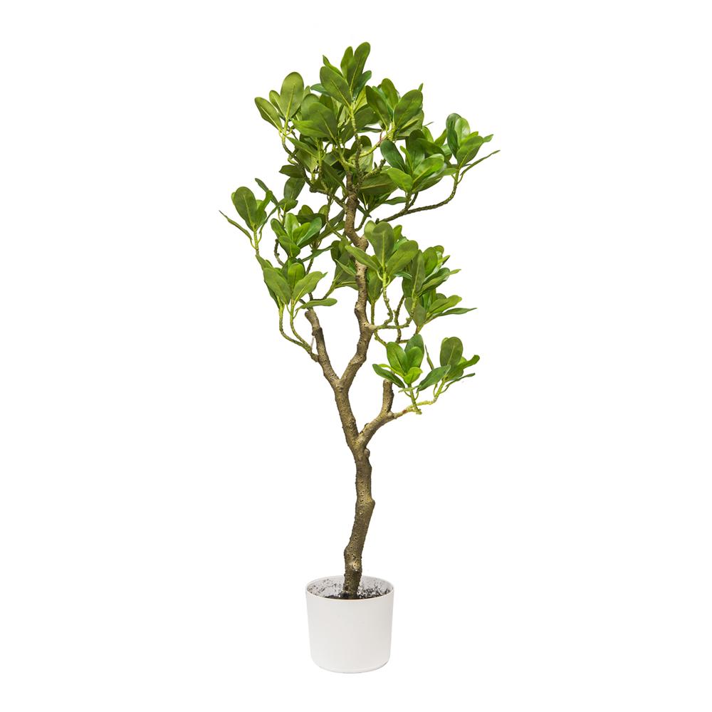 Chi 57978 Pianta Pittosporo Real Touch 55*55*100Cm - Verde - Piante | Mikasa
