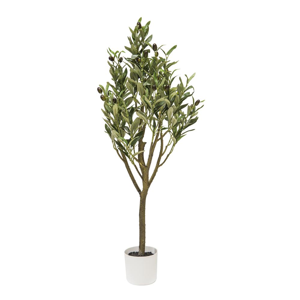 Chi 57979 Pianta Ulivo 42*42*95Cm - Vaso Plastica Verde - Piante | Mikasa