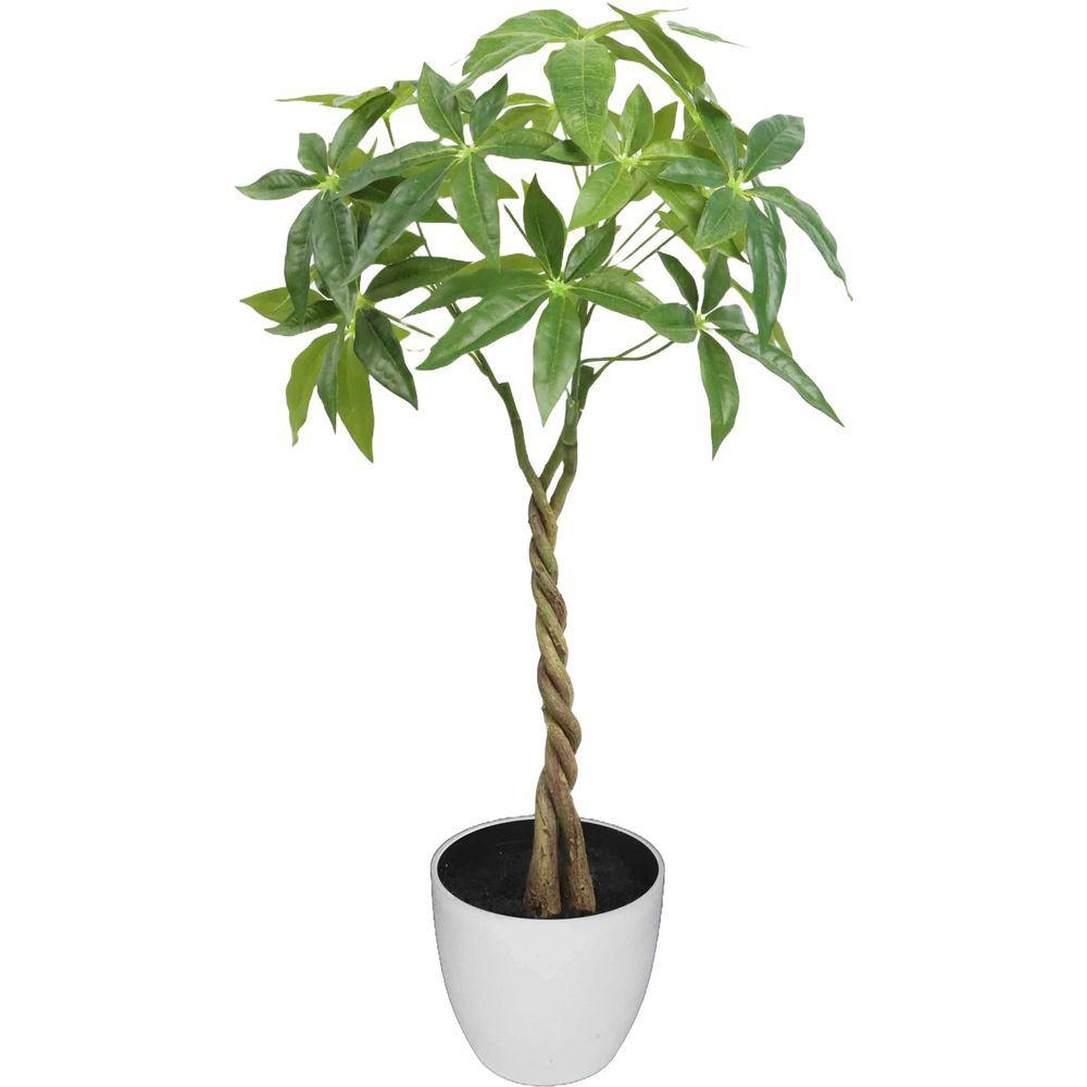 CHI 62298 Pianta Tropicale Pachira Intrecciata 60Cm - Vaso Plastica Verde - Piante | Mikasa