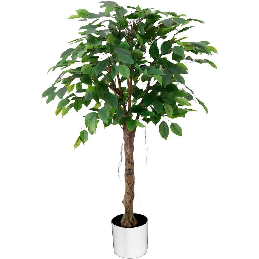 CHI 62299 Albero Ficus 559 Foglie 120Cm - Vaso Plastica Verde - Piante | Mikasa