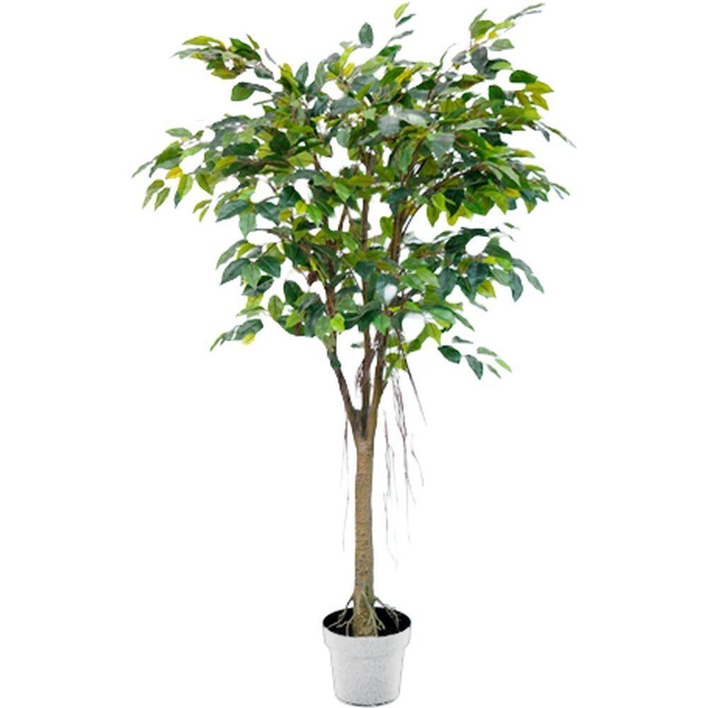 CHI 62300 Albero Ficus 880 Foglie 150Cm - Vaso Plastica Verde - Piante | Mikasa