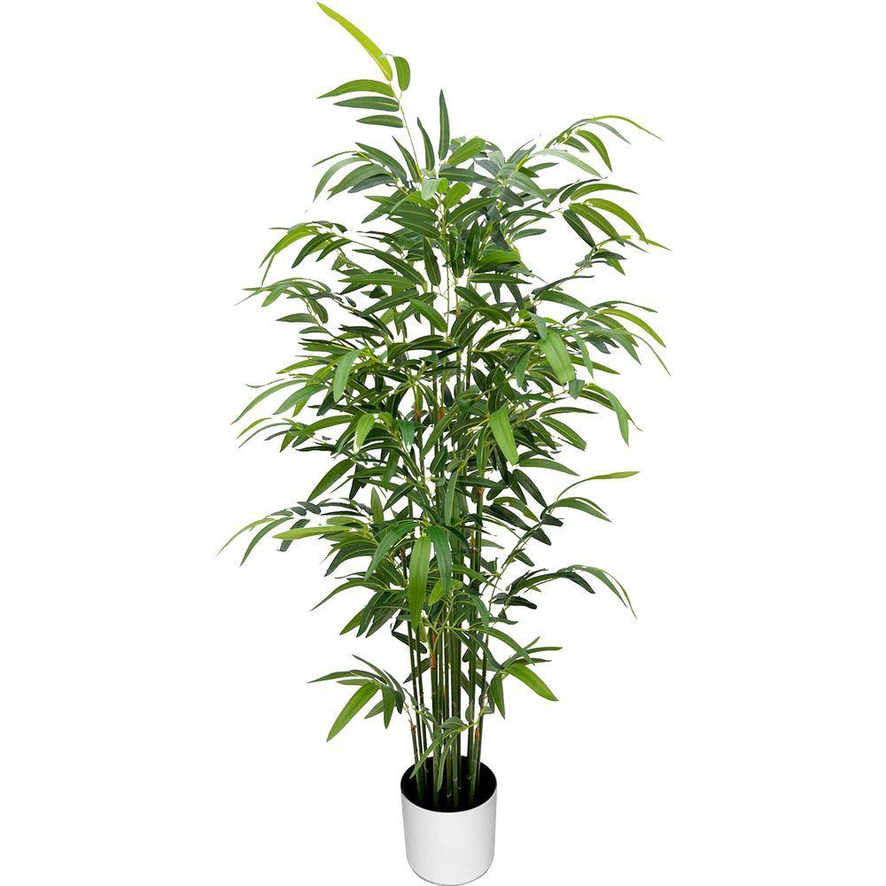 CHI 62301 Pianta Bambu' 672 Foglie 160Cm - Vaso Plastica Verde - Piante | Mikasa