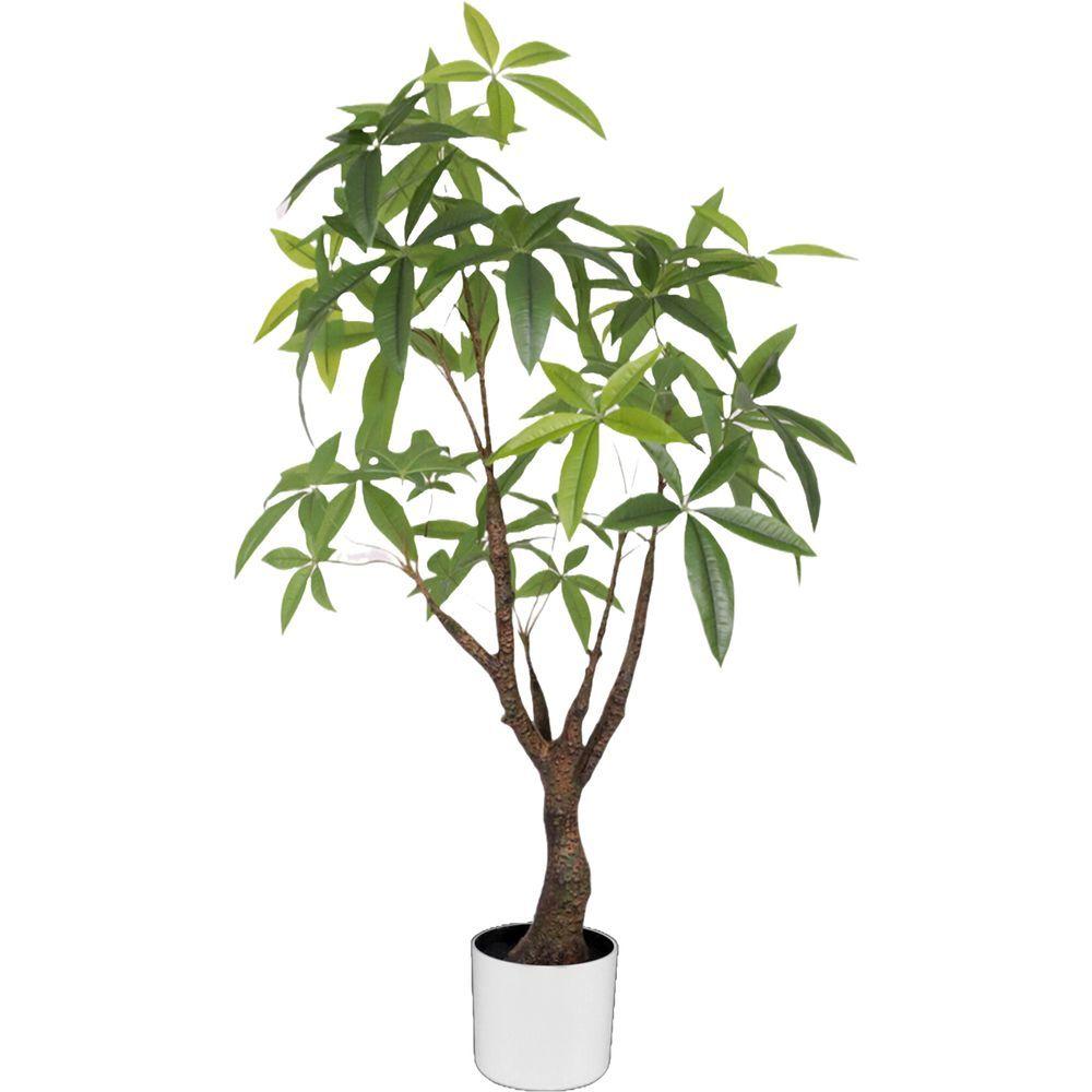 CHI 62303 Albero Tropicale Pachira 180 Foglie 100Cm - Vaso Plastica Verde - Piante | Mikasa