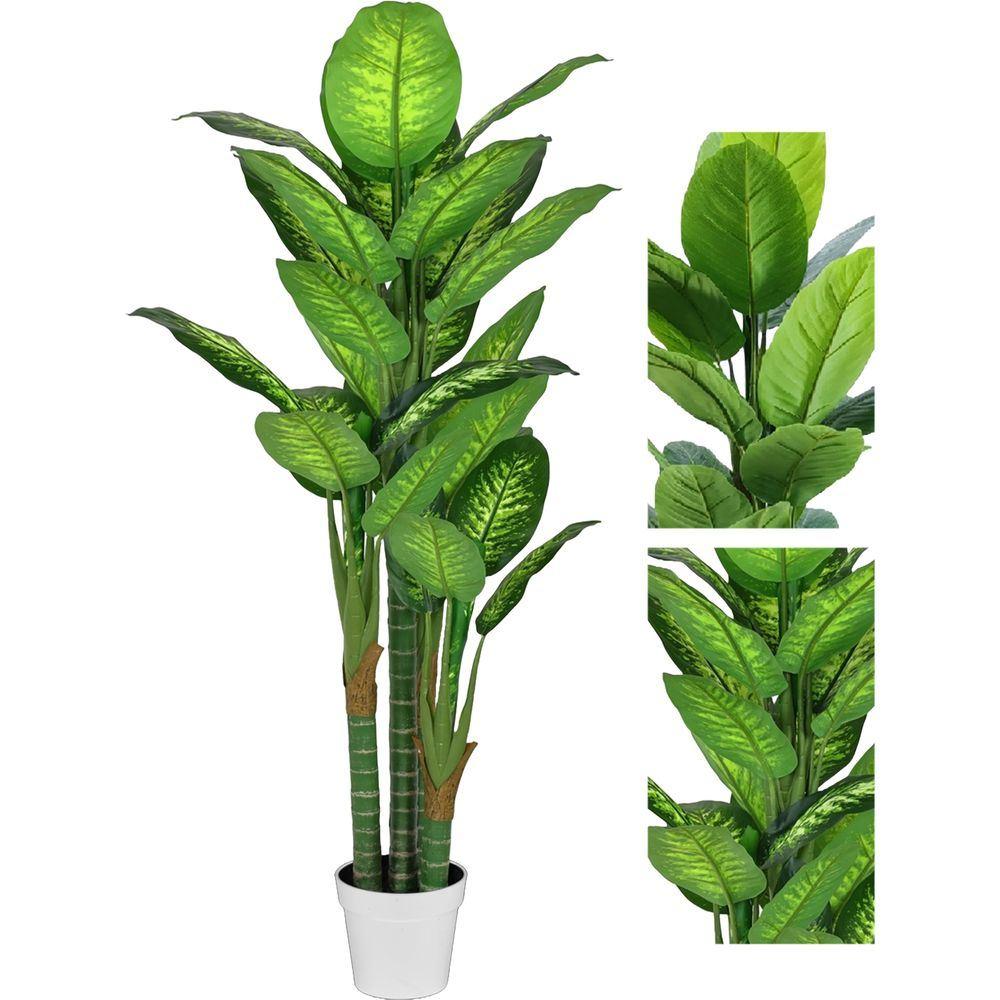 CHI 62306 Pianta Tropical Dieffenbachia 30 Foglie 155Cm 2 Ass. - Vaso Plastica Assortito - Piante | Mikasa