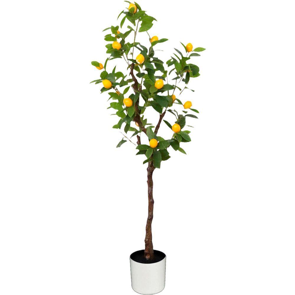 CHI 62309 Albero Limone 254 Foglie 20 Frutti 135Cm - Vaso Plastica Verde - Piante | Mikasa