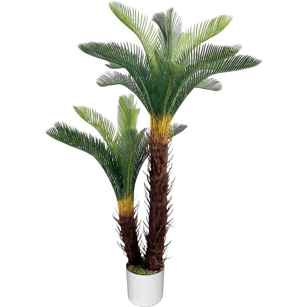 CHI 62310 Pianta Doppia Cycas 125Cm - Vaso Plastica Verde - Piante | Mikasa
