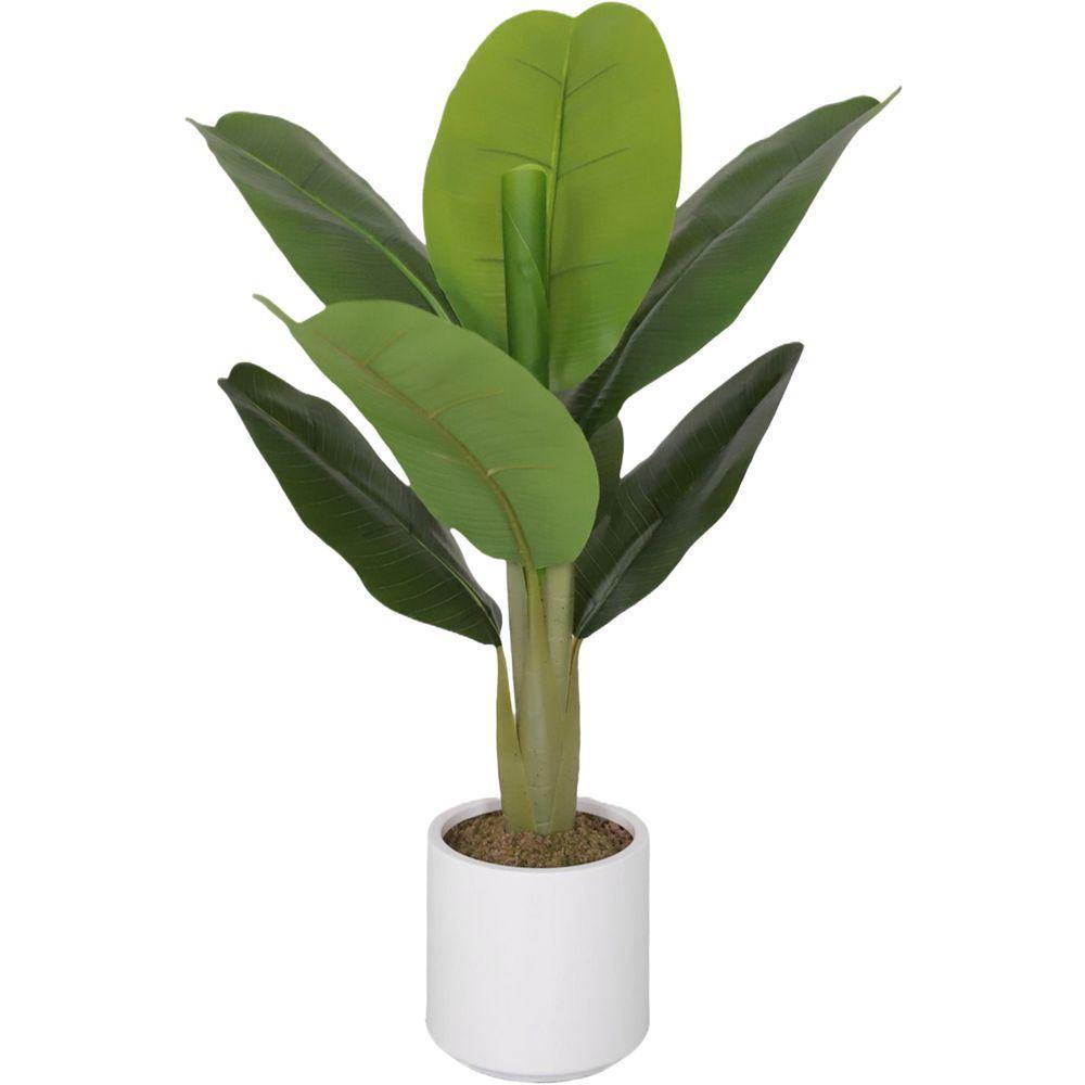 CHI 62311 Pianta Banano 8 Foglie 75Cm - Vaso Plastica Verde - Piante | Mikasa