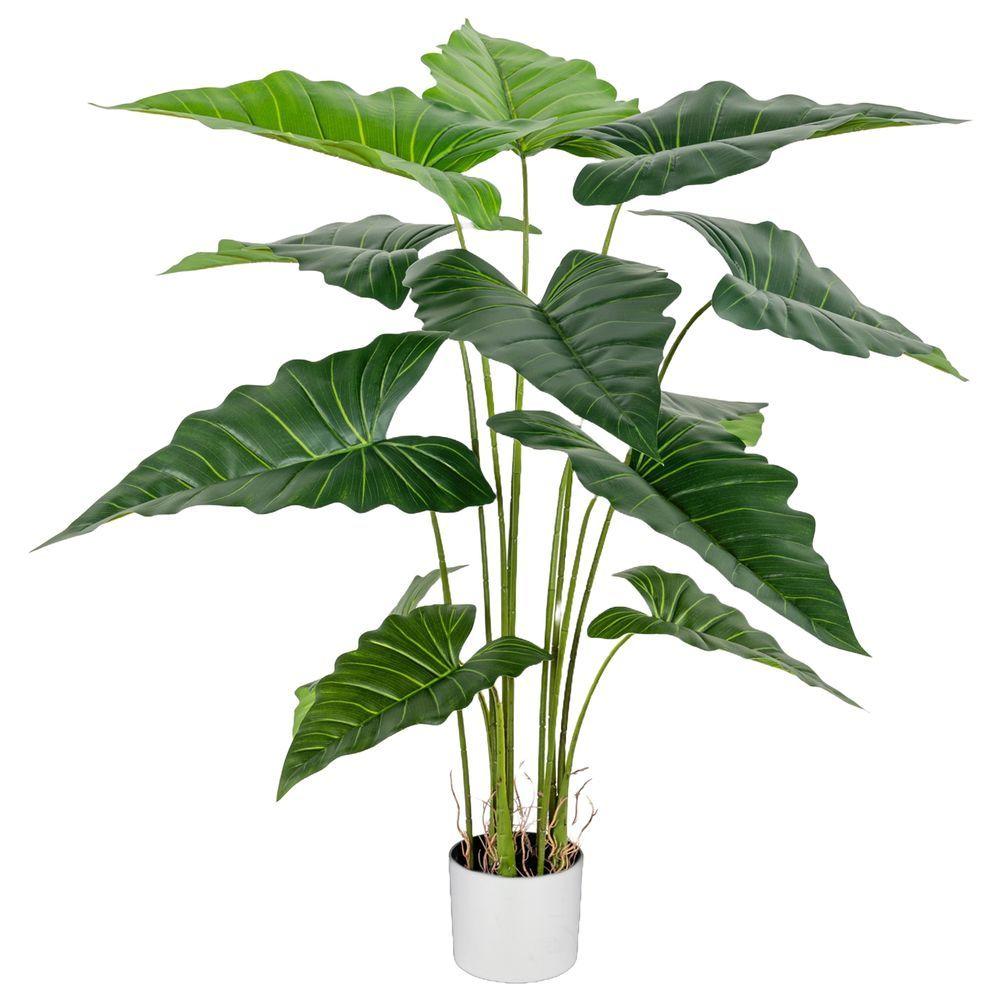 CHI 62314 Pianta Alocasia 125Cm - Vaso Plastica Verde - Piante | Mikasa
