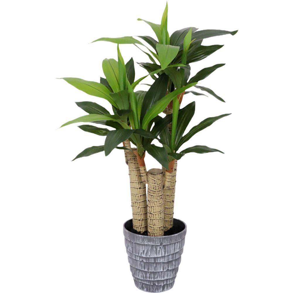 CHI 62315 Vaso Dracena 58 Foglie 85Cm - Vaso Plastica Verde - Piante | Mikasa
