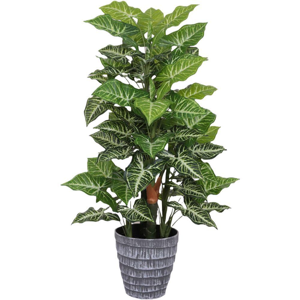 CHI 62319 Pianta Monstera Point 85Cm - Vaso Plastica Verde - Piante | Mikasa