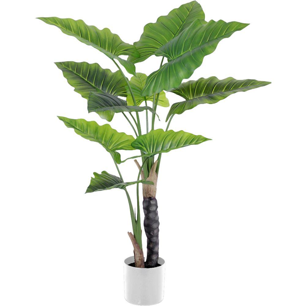 CHI 62779 Pianta Tropical Point 120Cm