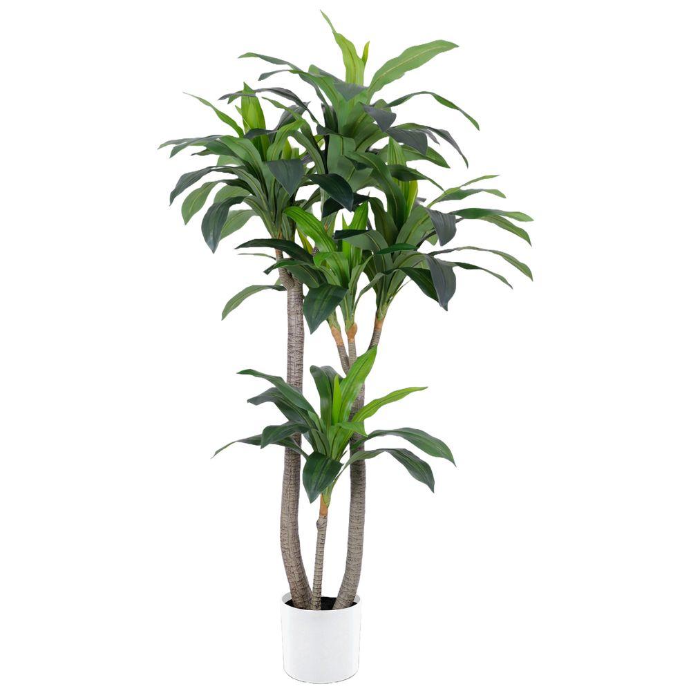 CHI 62780 Pianta Dracena 7 Rami 100 Foglie 155Cm