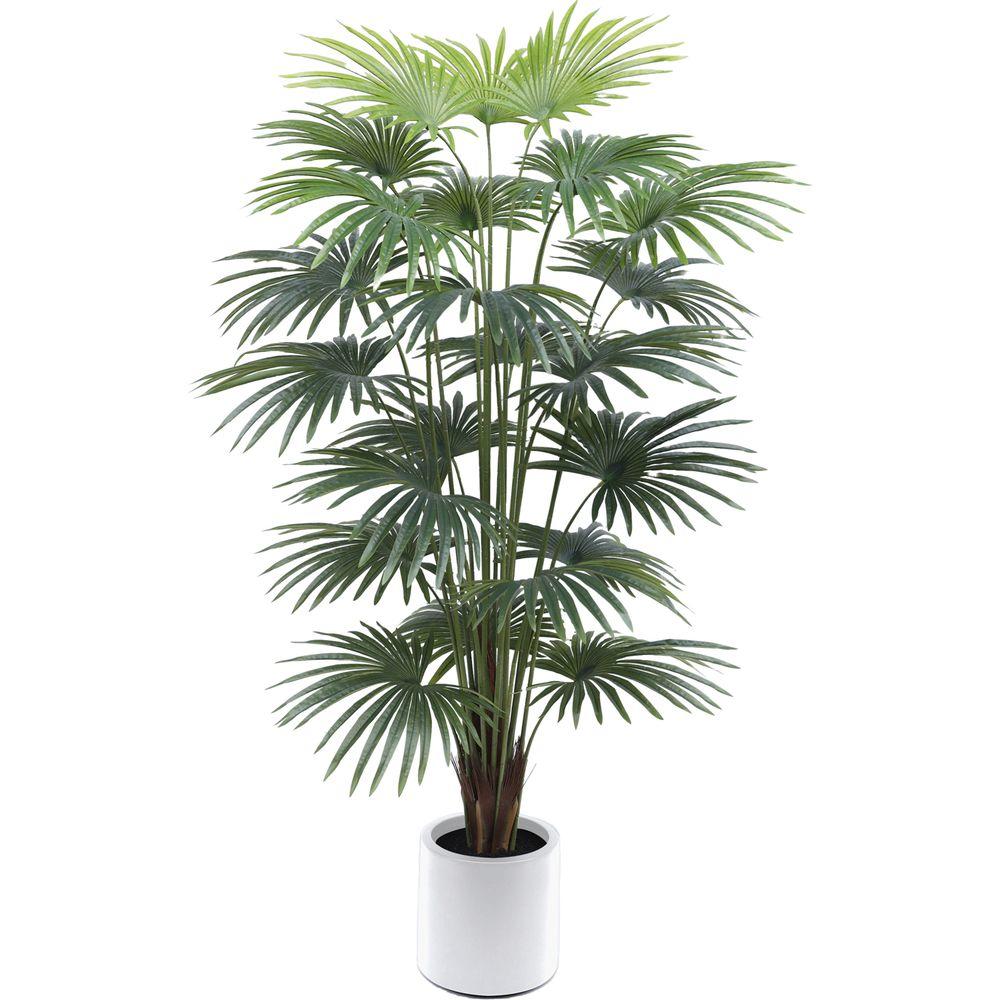 CHI 62783 Palma Ventaglio Real Touch 220Cm