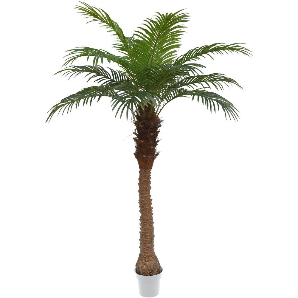 CHI 62784 Palma Natural Phoenix 15 Foglie 180Cm