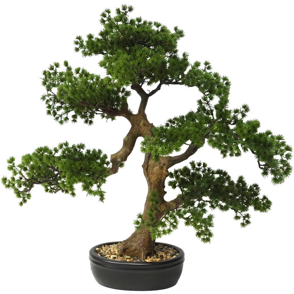 CHI 62786 Bonsai Peaceful 60Cm - Piante | Mikasa