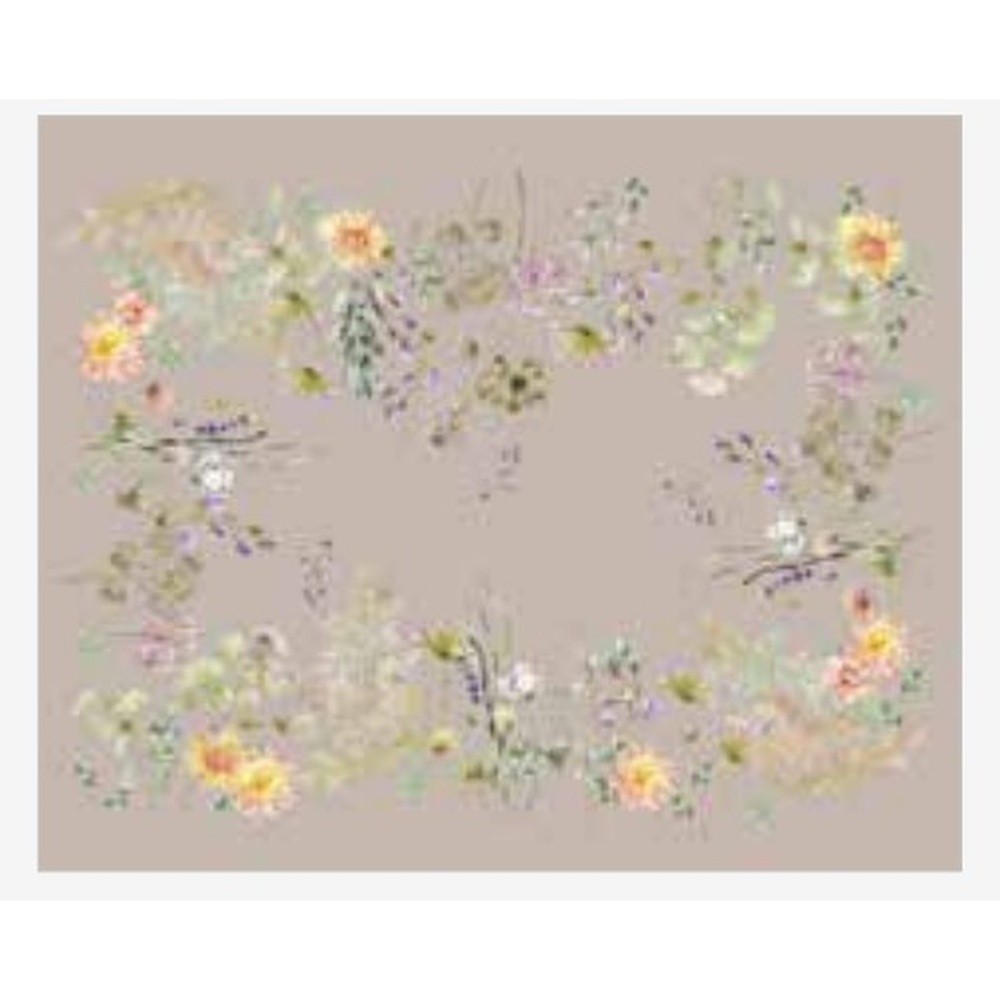 Tovaglietta Americana Achillea Set 2 Pz Cm.50X40 Tortora 67