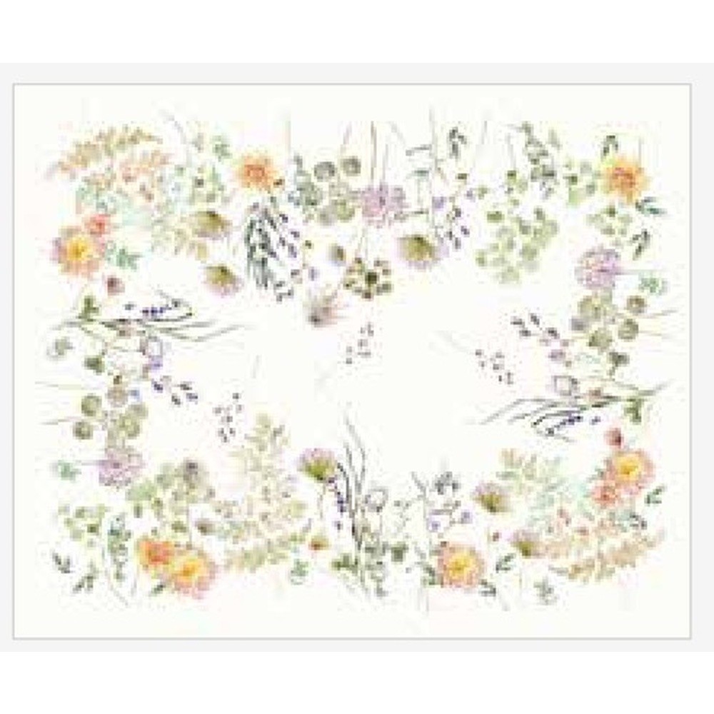 Tovaglietta Americana Achillea Set 2 Pz Cm.50X40 Avorio 80