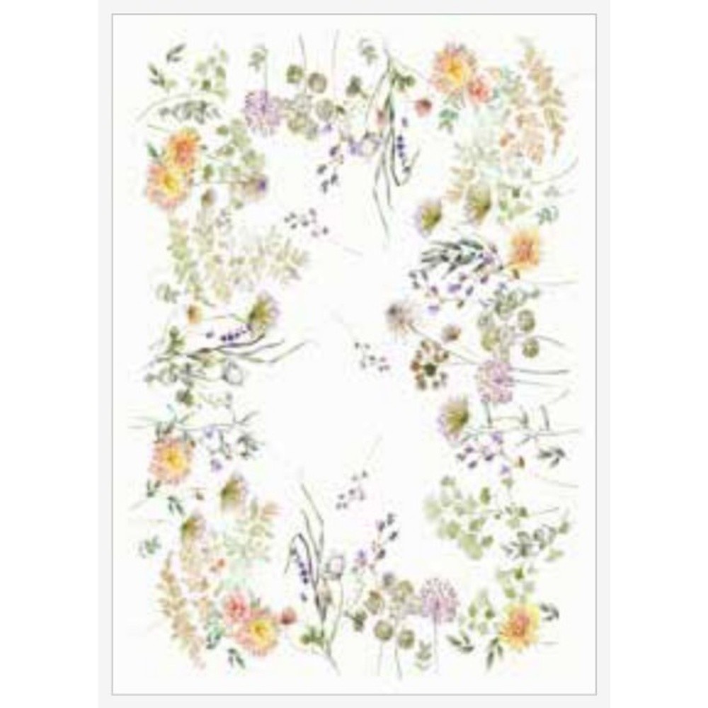 Canovaccio Achillea Microcotton Cm.50X70 Avorio 80 - Cotone Avorio - Strofinacci | Mikasa