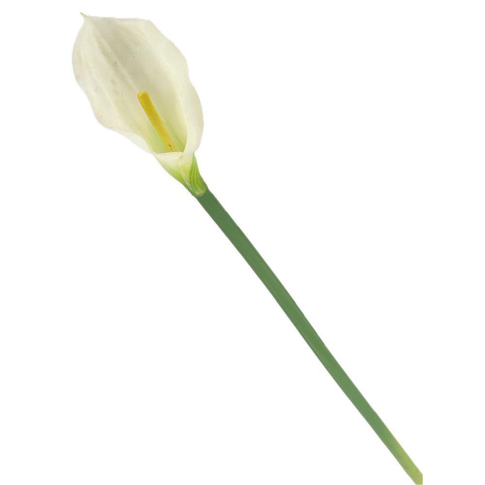 FLT 62699 Calla Royal White 68Cm - Bianco - Fiori | Mikasa