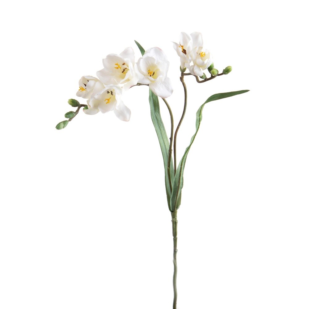 Fresia X 3 69 Cm Viola - Viola - Fiori | Mikasa