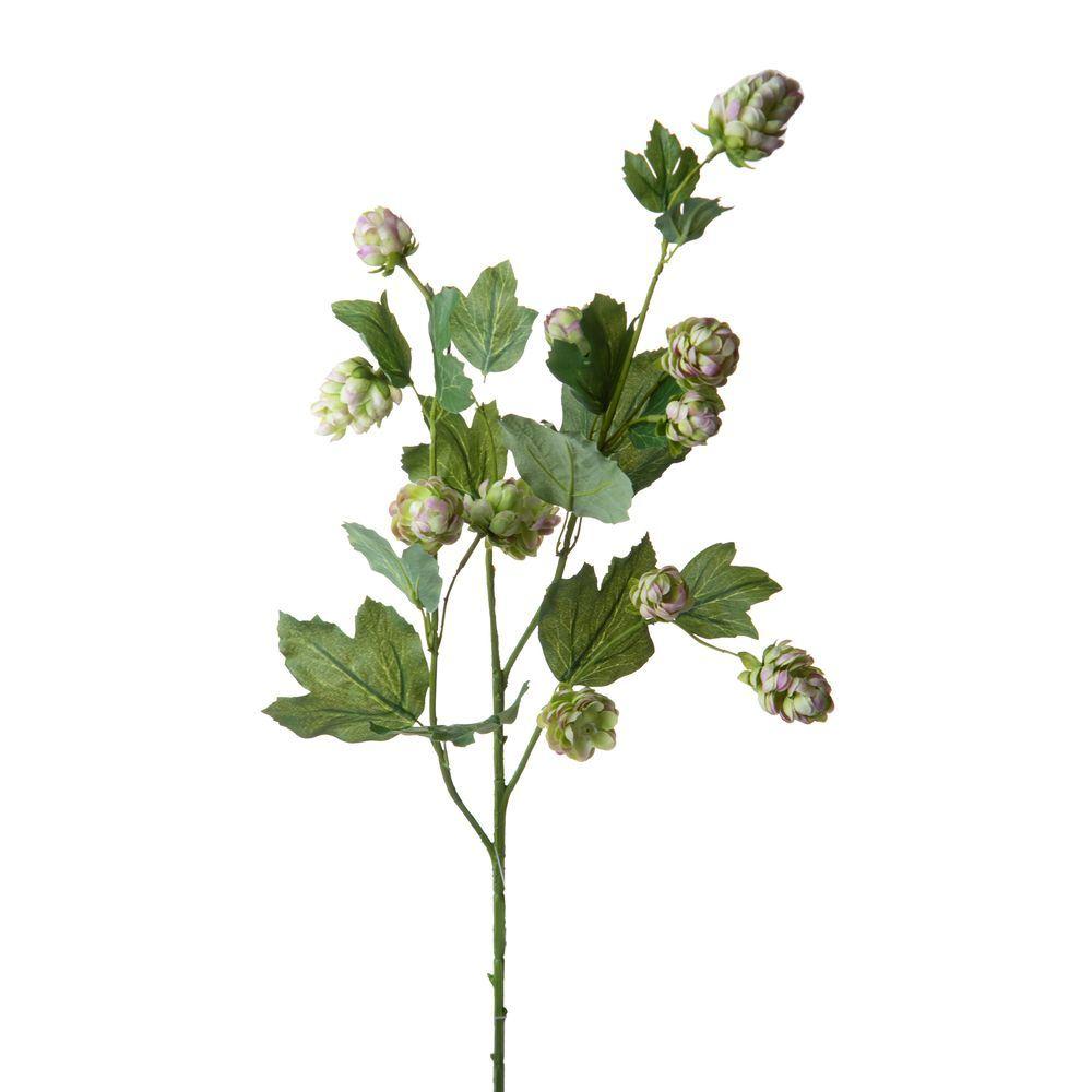 Fiore Luppolo 78 Cm