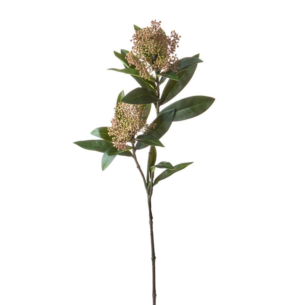 Ramo Skimmia X 2 72 Cm