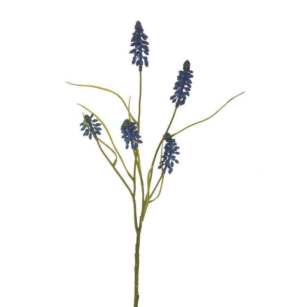Muscari Ramo 51 Cm